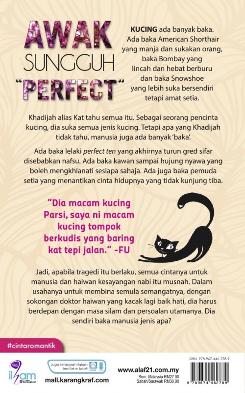 Awak Sungguh Perfect - Nurul Syahida