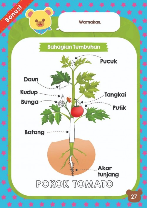 Cari Kata : Tumbuhan